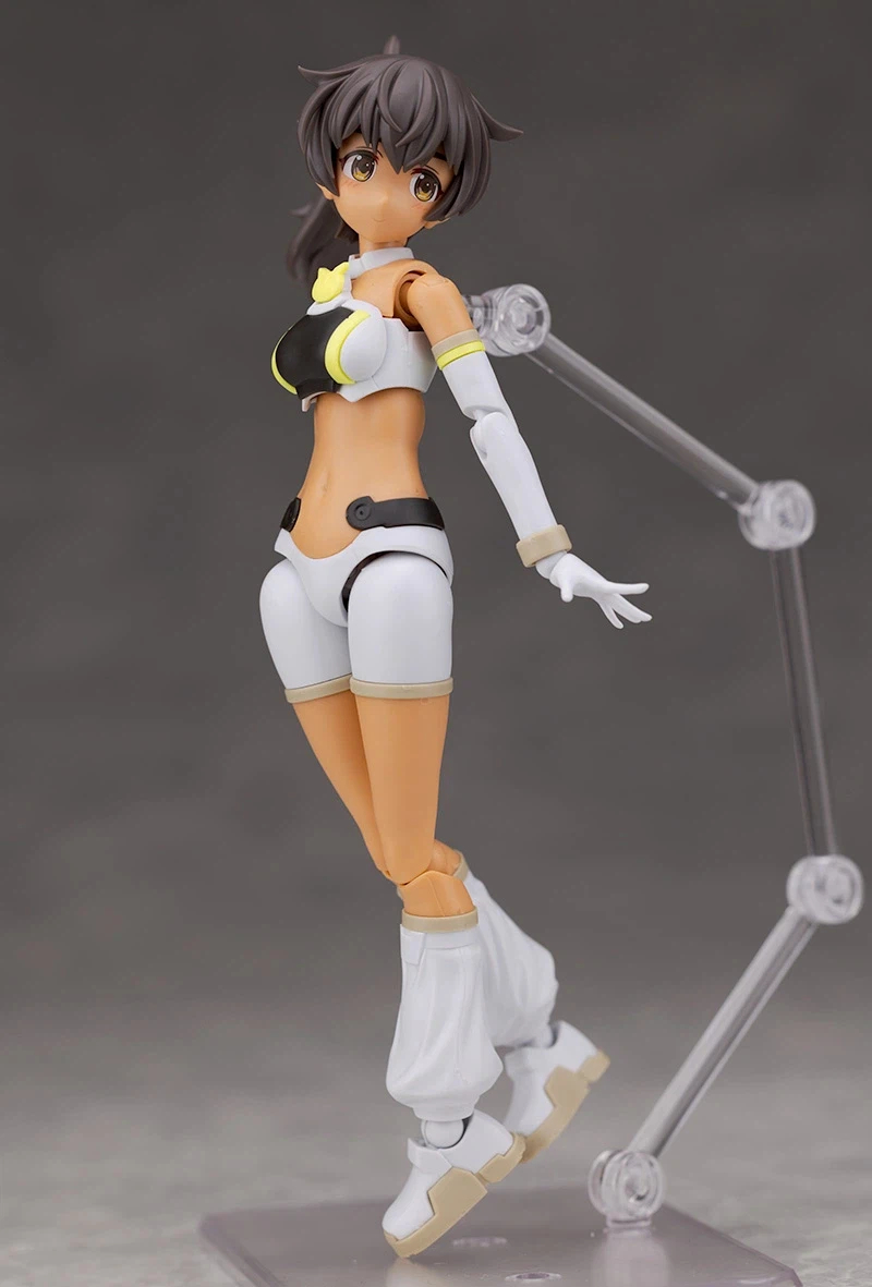 [30MS] ���ü ���� ���� �÷�C [3���԰��Ϸ�][4573102720245]