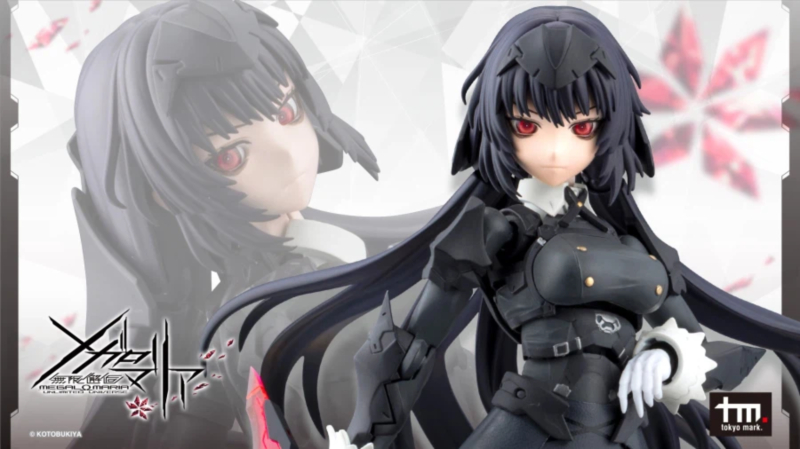 [����] [��������] �ް��θ����� ī������ ������ ���� ���  [4934054062027]