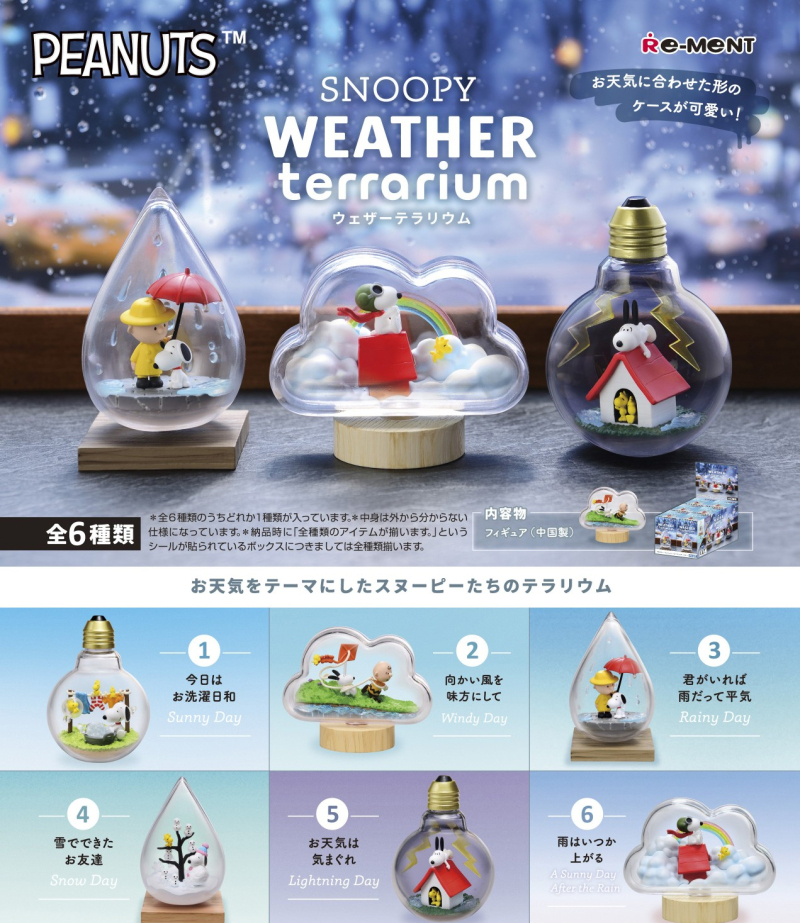 [����] ������ ���� �׶󸮿�(1�ڽ�6����) [4521121701998]