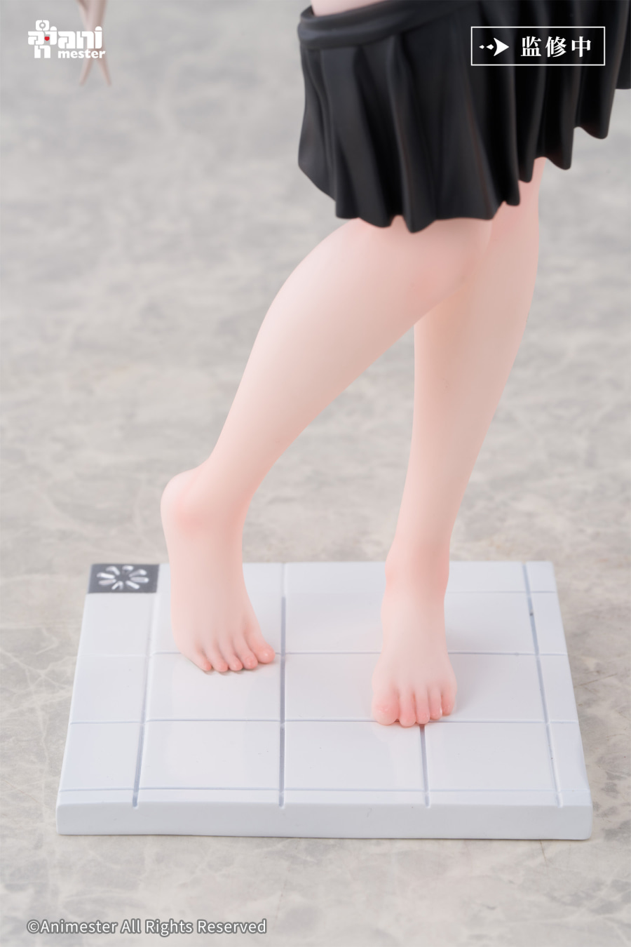 [����] 1/6 ���� ������ ���� ���� Illustration by sunny11 [6976881810813]