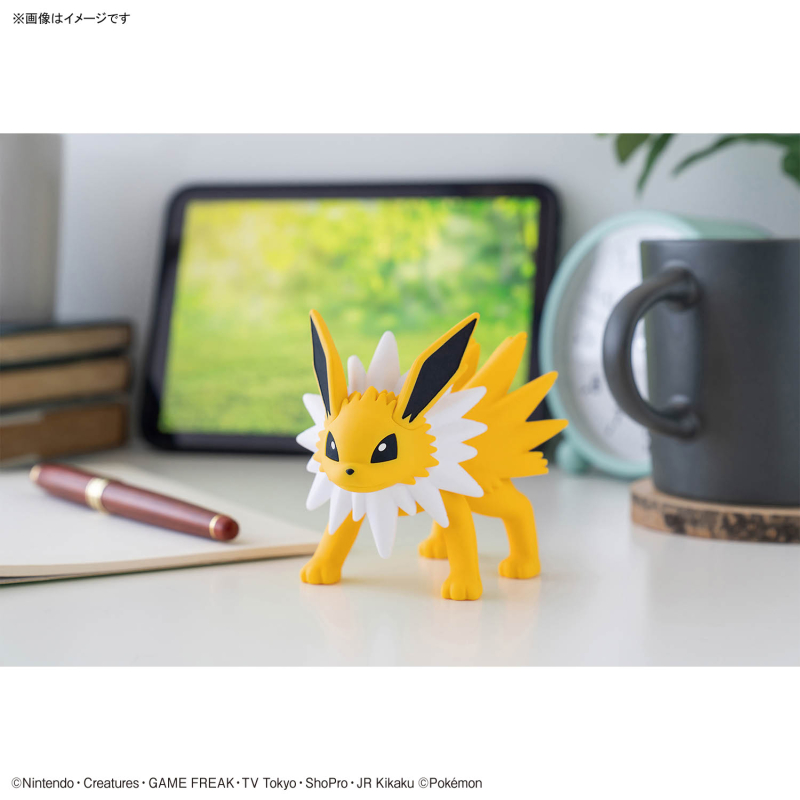 [���ϸ���������26] ���ǽ��(�����԰���) [4���԰�����] [4573102725264]